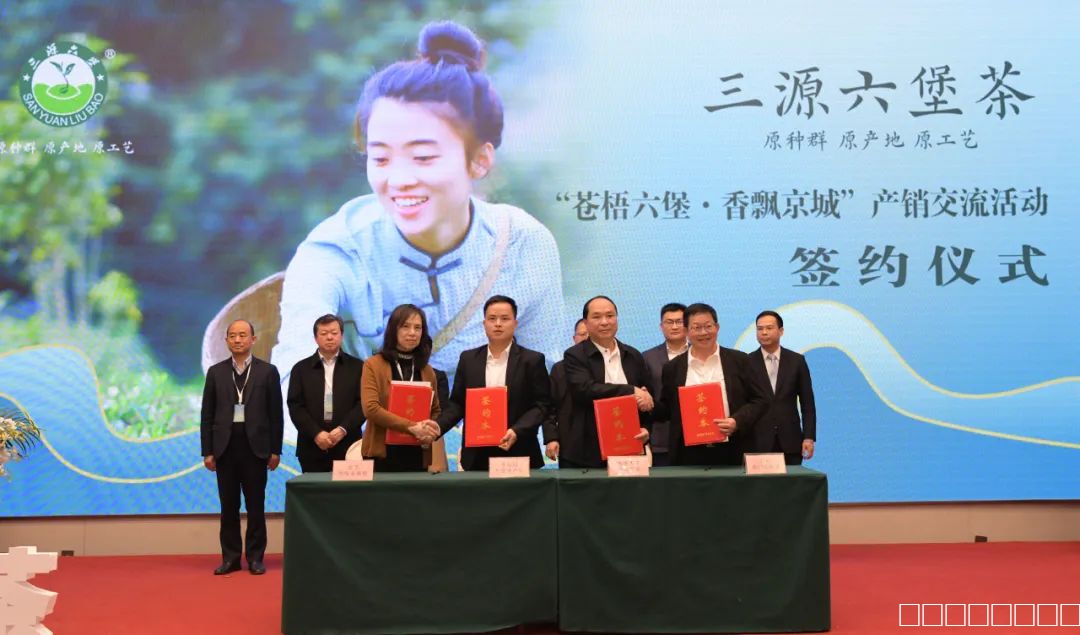 1711853279146 1711853279146