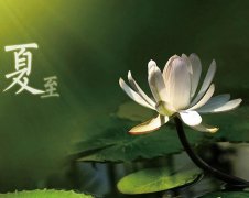 夏至節(jié)氣，廣西強(qiáng)壽藥業(yè)集團(tuán)提醒您注意防暑降溫