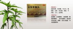 益智康腦丸治療什么病，益智康腦丸主治什么病