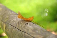 今日12時(shí)9分，迎來處暑節(jié)氣